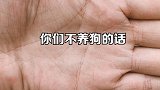 你们不养狗的话永远不知道狗向你奔来的这种喜悦