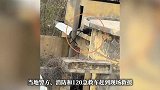 灌溉站屋顶一男子疑因触电倒地身亡，院内地面布满杂草，多方回应