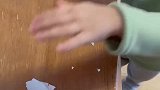 迷你小河马出去找朋友玩