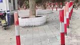也出来爬爬山散散步