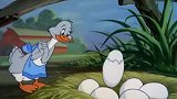 猫和老鼠：鸭宝宝都出生啦，要跟着妈妈去水里游泳了，要加油哦