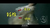 古代女子不仅用砒霜美白？还用水银当香水？品品用生命在比美的她们