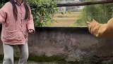 一定要看到最后