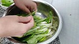 农家菜“小白菜炕豆腐”的详细做法，做好这一步比肉好吃！