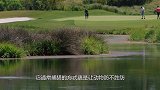 鳄鱼的“头号天敌”！饿了同类都不放过，为何见到人类却鞠躬？