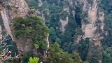 此情此景都在一幅画中