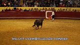 一群人隔着笼子斗牛，本以为万无一失，不料意外发生了