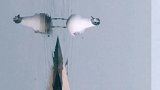 我心寄远方，热爱奔跑和流浪…