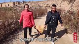 磊哥带朋友来玩，春姐买了个牛头做牛头宴，四人喝酒吃肉吃过瘾了