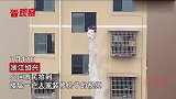 浙江一户人家装修房子，工人直接将垃圾从楼上倒下，操作惊呆网友