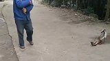 村里的恶霸看起来多少凶啊！