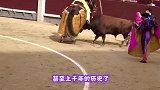一群人隔着笼子挑逗公牛，不料公牛一头撞进笼子，镜头拍下全过程