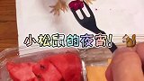 小松鼠的夜宵时间！