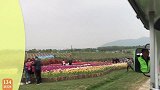 农民王小：农村汉子搞砸颁奖！好好庆典变成相声主持人整不会了