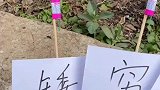 难道这就是天意真是闻者伤心见者流泪