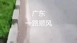 原来懒也能上热搜