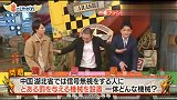 日本综艺介绍湖北省马路的光雾感应器，这个设计让不自觉的人少了