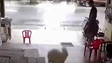 这狗窝可太窝了