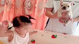 女儿初次见到小奶狗，不料她上去就想啃人家，吃货名不虚传