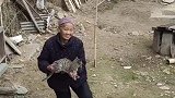 小猫咪也摆脱不了奶奶的爱