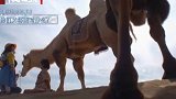 卡酷动物园：兄弟俩不会骑骆驼，祖尼日亲自教学，能否克服恐惧