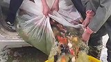 民间高手倒鱼，不怕摔死啊