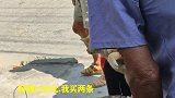 驼背老人和阿姨抢买极品小黄狗，场面有点火药味