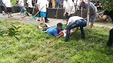 又现飞鱼奇观！数百大鱼水面"蹦迪"