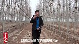 让熊猫兔和獭兔繁殖，生出来的小兔子，让人喜出望外！