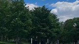 网友发现奇特形状云彩，这个爱心有两个哎