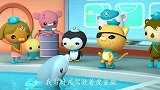 海底小纵队：呱唧把小海豚和自己的妈妈分开了