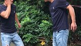 你再瞅一个试试！