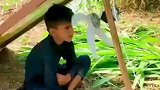 农村生活，田间地头