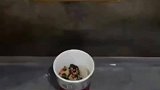 这热水器不大好使啊，拿来整蛊肯定好用