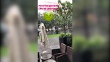 北京大雨让索里亚诺惊讶 拍视频记录一下