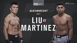 UFC格斗之夜155：刘平原VS乔纳森-马丁内斯