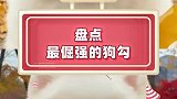 想吃炸鸡的棉花糖你见过吗