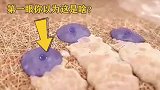 细胞涨见识了，原来我们的骨头也是由细胞产生的