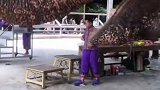 已经喝了我15瓶半了还要喝