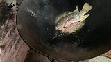 昨天抓回来的罗非鱼，拿来焖“榄子”，防城港人很喜欢吃！