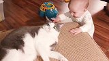 国外萌娃，吹泡泡，猫咪追着泡泡打！