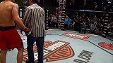 UFC-14年-UFC终极斗士第19季对抗赛：斯庞vs金-专题