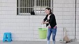 跟大姐撒娇一下，我大姐生气了