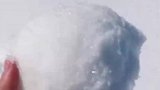 这雪球，怎么和电视剧里的不一样呢？