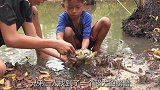 野外极限生存，兄弟二人捉到两个超大的螃蟹，看他们吃的真香