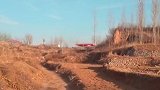 又是遛狗不牵绳！9岁女童上学路上被狗咬死