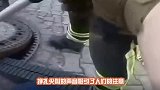 农夫半夜听到有动物惨叫声，起身一看乐坏了镜头记录全过程