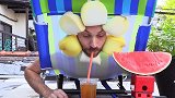 牛人自制“懒人喂食器”，全程自动喂食，网友：懒人的福音！