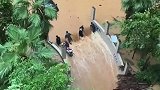 小区积水涌向地下停车场，4人在入口处撑住挡板，物业尽力了