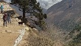 神山阿玛达布拉姆峰，尼泊尔语意为富裕的妈妈，尼泊尔众多神山之一，高度6812米。